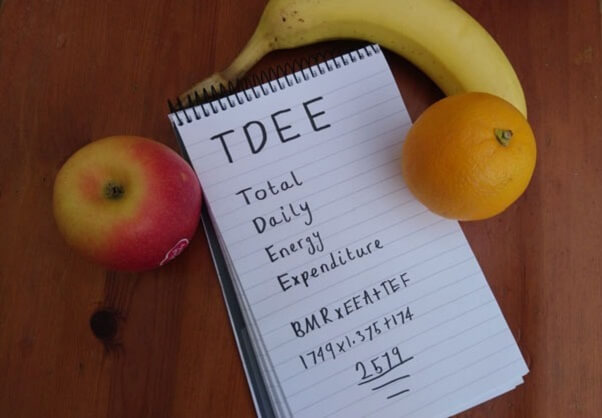 TDEE là gì? Công cụ tính TDEE chuẩn xác cho Gymer